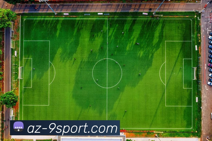 九游娱乐官网服务体系